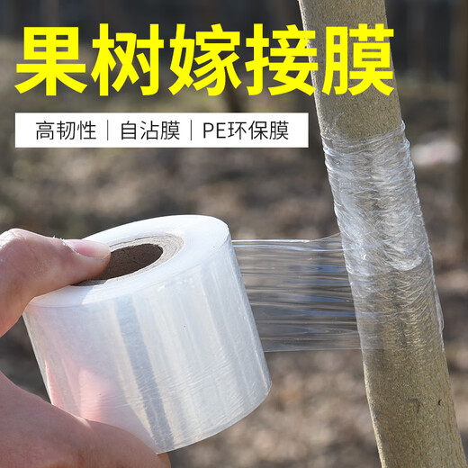 Grafting film special film PE no knotting film self-adhesive garden fruit tree grafting tape wrapping tape wrapping film 200 meters long 3 cm wide (1 roll)