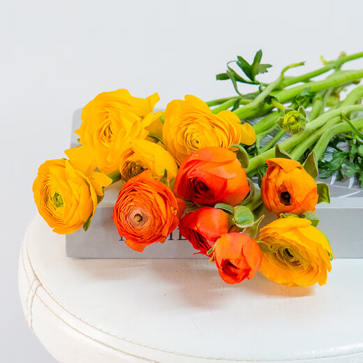 Jingdong Flowers Yunnan Kunming Flower Base Straight Hair Random Color Peony 10 Branches Straight Hair from the Source