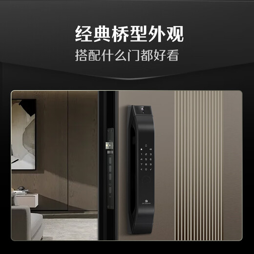 DESMAN Smart Türschloss Finger Venenerkennung Sentinel Smart Cat Eye Großbildschirm Fingerabdruck Passwortsperre Dasheng Q5MSPro