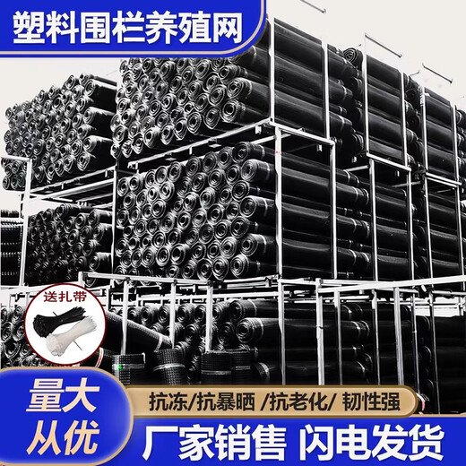 Danau Meng Plastic Grid Farm Net Fish Pond Protection Anneau Corn Poulet Net Net Isolation Isolation Fence Garden Vegetable Guardian Net 1,2 mètres de haut + 3 cm Trou + Tie 4,8 mm d'épaisseur (50 mètres / rouleau) 1517