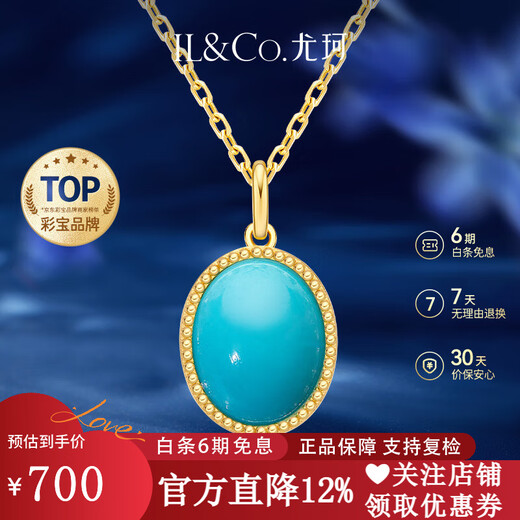 IL&CO Youke Natural Turquoise Necklace for Women Light Luxury S925 Silver Clavicle Chain Birthday and Valentine's Day Gift for Girlfriend S925 Silver Turquoise Necklace