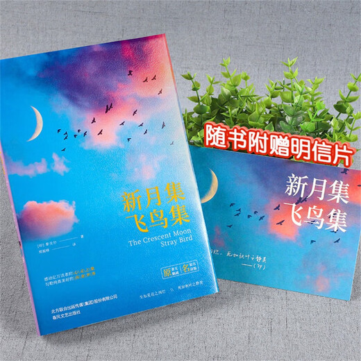 [Xinhua genuine] Crescent Moon Collection Flying Bird Collection Tagore Poem Collection Internet Celebrity Flying Bird Collection Genuine Books Must-read for extracurricular books for junior and senior high school students SN9740 Crescent Moon Collection Flying Bird Collection