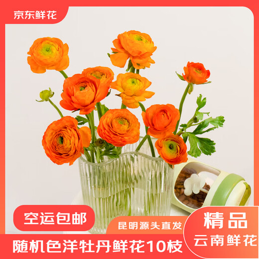 Jingdong Flowers Yunnan Kunming Flower Base Straight Hair Random Color Peony 10 Branches Straight Hair from the Source