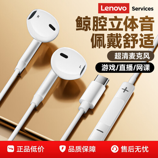 Lenovo wired headphones HIFI sound quality high-resolution audio with microphone noise reduction live broadcast karaoke singing music sports semi-in-ear gaming computer headphones type-c YF01 white