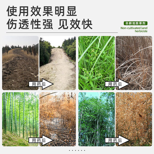 Cyclazinone copper special medicine for eradicating big trees, removing bamboo shrubs and killing weeds, powerful granular herbicide 500g*2 bags