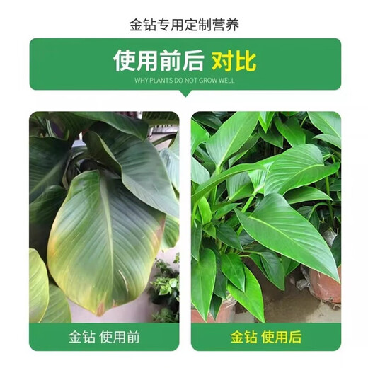 Daye Golden Diamond Special Nutrient Solution Red Diamond Green Princess Yellow Leaf Hydroponic Plants Indoor Potted Green Plants Organic Liquid Fertilizer Golden Diamond Nutrient Solution 300ml/bottle 3 bottles Limited time special price