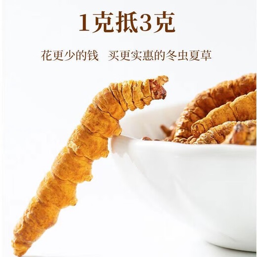 鹿章堂正宗藏区高海拔精品断虫草断草冬虫夏草自食买10克发11克多买多惠 西藏那曲高海拔纯肉整节80克（送10克发90克）