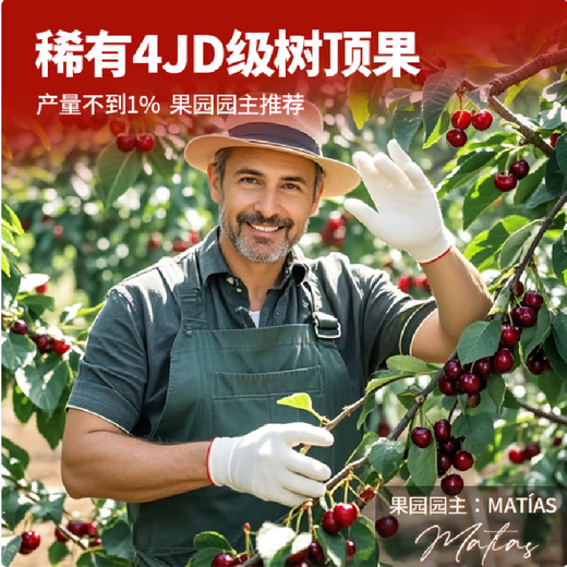 Enjoy Chilean cherries at the tip of your tongue. Imported seasonal fruits for New Year gifts. Christmas Eve fruits 2Jin Jin equals 0.5kg (net weight) Big Mac 3JJJ grade 30-32mm | including box 3Jin Jin equals 0.5kg. Special cold chain packaging