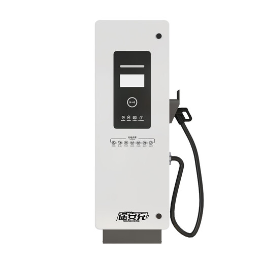 Touran charge commercial 20/30/40/60/80/120/160kw DC fast charging pile 380V household 9-hole new energy electric vehicle heavy truck general scan code toll collection and website construction dedicated 20kw single gun-floor-standing 9-hole DC charging pile