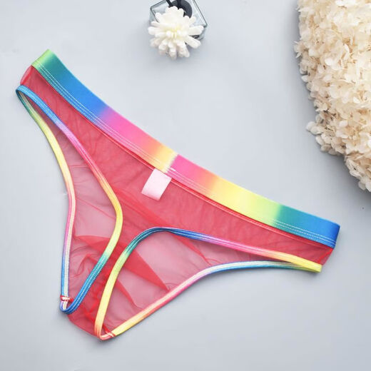 Bear plus size 0 sexy gay color see-through thong gay transparent thong rainbow white rainbow belt transparent tulle feeling thong S