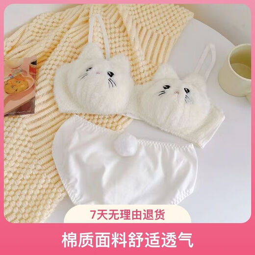 Autumn and winter warm, plush, sweet and super cute push-up red panda cat cute bra set, cat single-piece underwear (no wire) L (75BC 80AB)