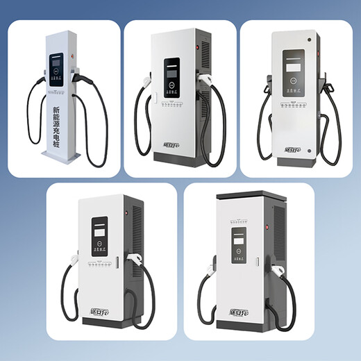 Touran charge commercial 20/30/40/60/80/120/160kw DC fast charging pile 380V household 9-hole new energy electric vehicle heavy truck general scan code toll collection and website construction dedicated 20kw single gun-floor-standing 9-hole DC charging pile