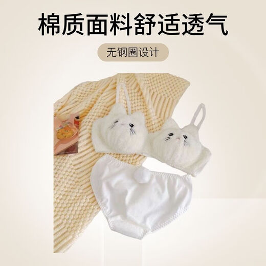 Autumn and winter warm, plush, sweet and super cute push-up red panda cat cute bra set, cat single-piece underwear (no wire) L (75BC 80AB)