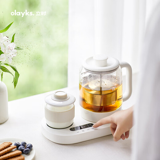 Olayks instant mini health pot teapot tea maker office heating thermostat coaster small kettle steam spray 0.8L OLK-TK01
