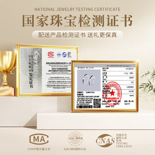 China Gold S925 Silver Roman Timeline Stud Earrings Men's Trendy Fashion Single Earring Practical Birthday Gift for Boyfriend Roman Timeline Earrings Brand Gift Box Display