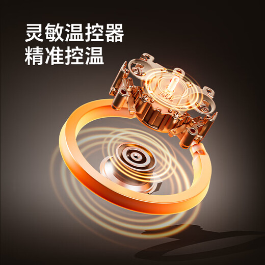 Made in Tokyo, patented 0 plastic, 0 glue, 0 odor electric kettle, constant temperature, automatic power-off and heat preservation integrated 1.7L 316L maternal and infant grade seamless liner, automatic power-off for health care