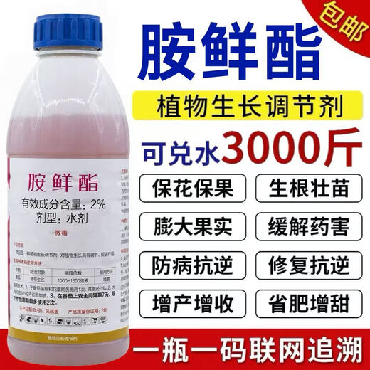 Ammonium ester regulator to protect flowers and fruits, increase production, antidote damage, root and strengthen seedlings, fruit trees, vegetables and flowers foliar fertilizer 500g