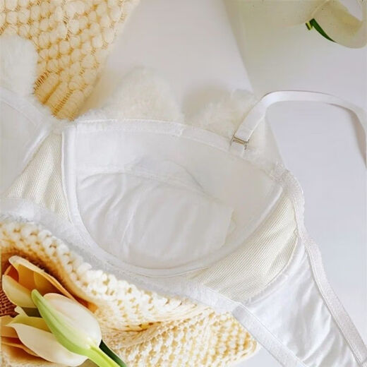 Autumn and winter warm, plush, sweet and super cute push-up red panda cat cute bra set, cat single-piece underwear (no wire) L (75BC 80AB)