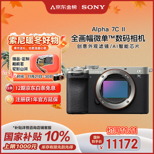 Sony (SONY) Alpha 7C II full-frame mirrorless camera, creative appearance filter, silver, single body (a7c2/A7C II/A7CM2)