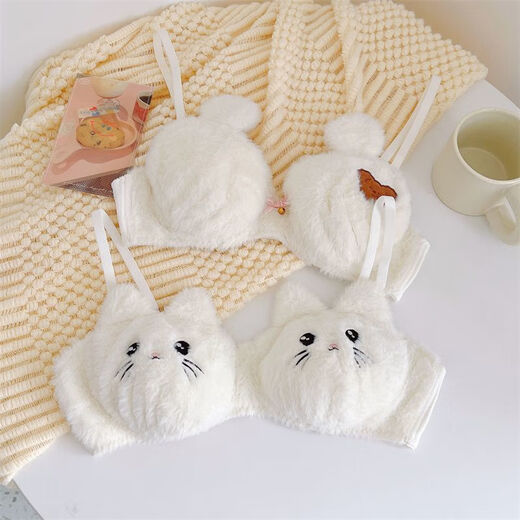 Autumn and winter warm, plush, sweet and super cute push-up red panda cat cute bra set, cat single-piece underwear (no wire) L (75BC 80AB)