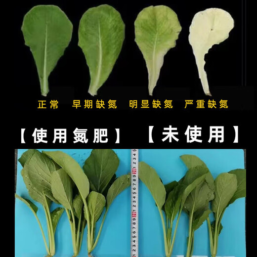 农用氮肥小颗粒尿素氮46%蔬菜花卉种菜通用肥料盆栽家庭园艺肥料 尿素1斤