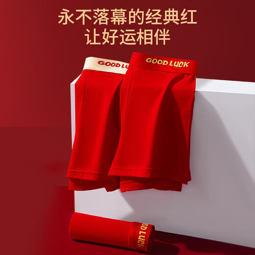 Children's Underwear Red Boys' Animal Year New Year's Cotton Shorts Youth 10A Antibacterial Modal Boxer Briefs Good Luck for Boys 3 Pairs One Size (4XL) Reference Height 160cm