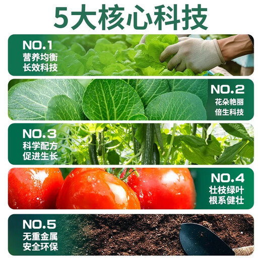 磷酸二铵复合肥小袋肥料家用蔬菜花卉果树盆栽通用型复合肥料化肥 【5斤】磷酸二铵