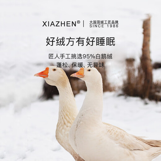 Xiazhen 5A grade down quilt 95% white goose down quilt core 80 count cotton antibacterial goose down quilt soft sound warm 5A grade standard winter quilt - upgraded to new national standard 150cm*210cm