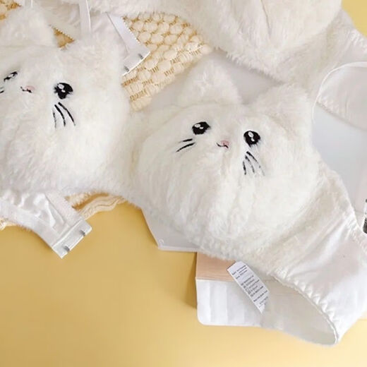 Autumn and winter warm, plush, sweet and super cute push-up red panda cat cute bra set, cat single-piece underwear (no wire) L (75BC 80AB)