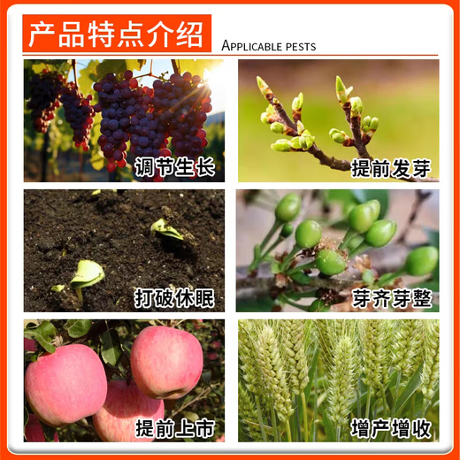 50% cyanamide cyanamide sleep-breaking agent grape and cherry germination promotion fruit tree sleep-breaking growth regulator 250ml (a box of 40 bottles)