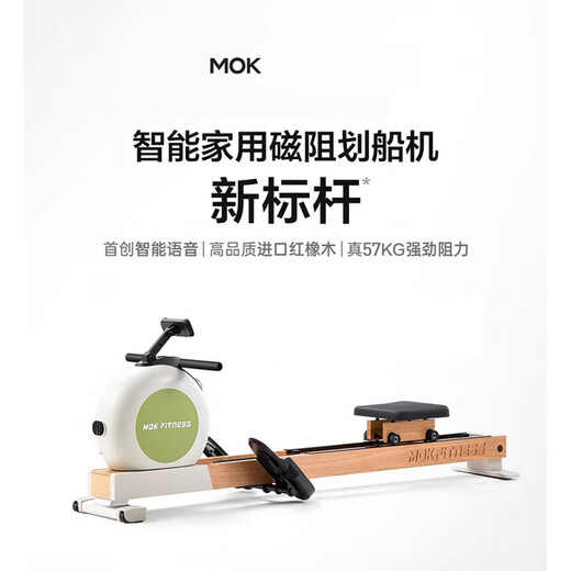MOKFITNESSMOK (Mok)-K10 magnetic resistance silent rowing machine home smart folding rowing machine fitness equipment K10ES standard version (wasabi green)