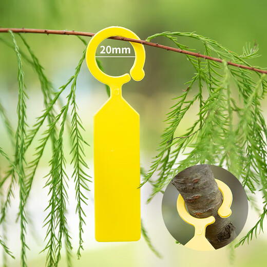 加厚葡萄西瓜授粉记号卡大树植物环扣标签塑料吊牌花卉标记牌 白色100片/包