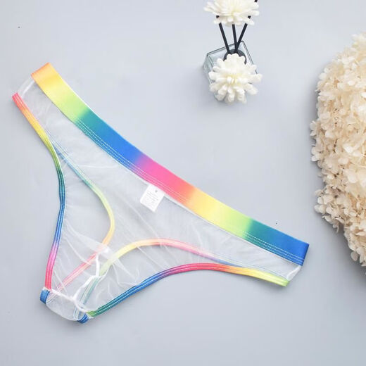 Bear plus size 0 sexy gay color see-through thong gay transparent thong rainbow white rainbow belt transparent tulle feeling thong S