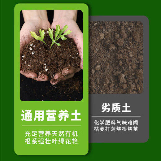 Or garden nutrient soil flower cultivation universal flower soil flower planting soil peat soil potting special soil nursery matrix 10 liters