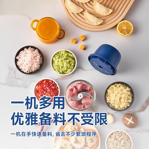 WCZ German garlic artifact garlic press garlic mincer meat grinder garlic mincer electric garlic beater garlic mince 2025 new glass stainless steel six-blade knife powerful electric pounding/mincing garlic artifact