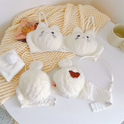 Autumn and winter warm, plush, sweet and super cute push-up red panda cat cute bra set, cat single-piece underwear (no wire) L (75BC 80AB)