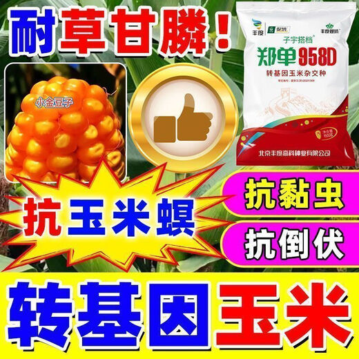 Трансгенные семена кукурузы Qiuying, высокая урожайность, короткие стебли, устойчивость к полеганию, устойчивость к болезням, устойчивость к насекомым, толерантность к глифосату, новые одобренные на национальном уровне виды палочек, устойчивость к насекомым и беспроблемный трансгенный продукт, 4100 официальных капсул