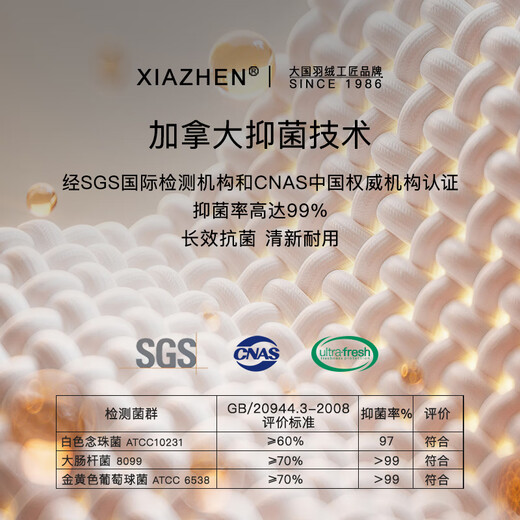 Xiazhen 5A grade down quilt 95% white goose down quilt core 80 count cotton antibacterial goose down quilt soft sound warm 5A grade standard winter quilt - upgraded to new national standard 150cm*210cm