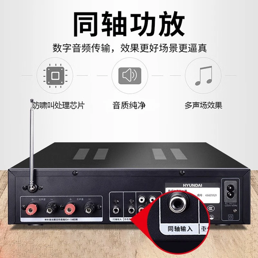 HYUNDAI modern home theater ktv audio set computer TV living room home k song karaoke full set of professional amplifier speaker equipment [hot sale] 10-inch song tuning machine set