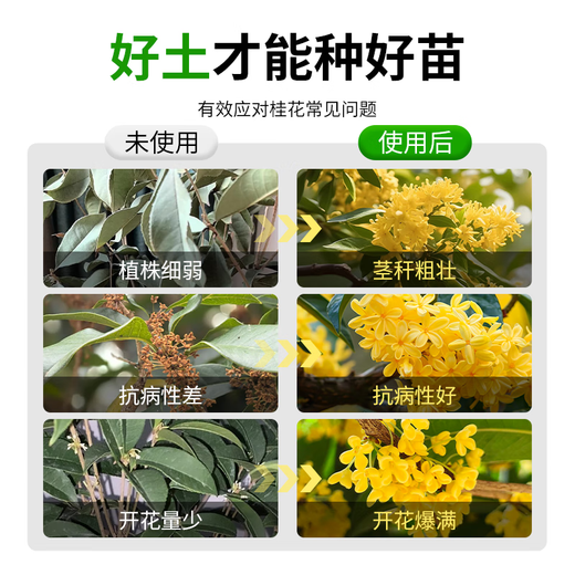 Special soil for osmanthus, special nutrient soil for osmanthus trees, flower cultivation soil, universal planting soil, organic soil fertilizer, special soil for osmanthus formula 50 liters