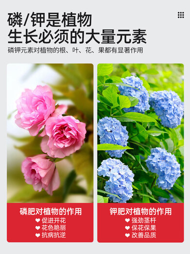 领沃磷酸二氢钾肥料花卉专用三角梅磷肥家用钾肥花肥盆栽正品农用爆花 磷酸二氢钾500g*4罐