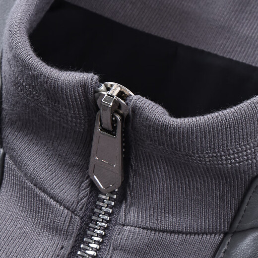 Fat Donglai Supermarket purchasing Haining leather jacket men's 2025 winter men's stand-up collar casual leather jacket workwear cotton same style gray 4XL suitable for 200Jin Jin is equal to about 0.5kg