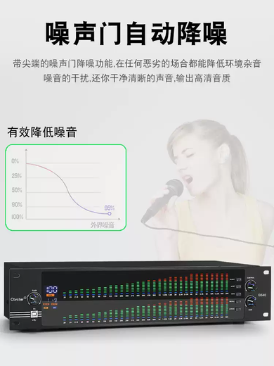 Equalizer professional home stage performance high school bass EQ noise reduction bar wedding dual 31-segment digital tuner digital equalizer XLR male and bus