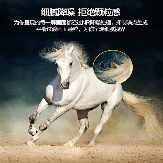 TGLDZ smart screen TV 8K ultra-high definition smart network wifi voice projection living room can be wall-mounted in bedroom eye protection 65 inches length 112*height 65CM smart network version door-to-door delivery + 5-year free replacement + free installation