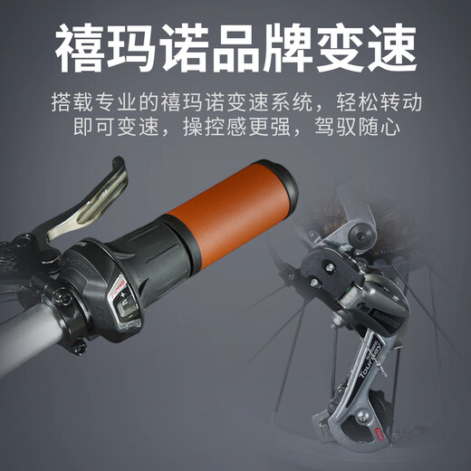 Lanling Shimano Variable Speed ​​Folding Bicycle for Adults, Ultra-Light-Push in the Trunk, Portable Small Wheel Aluminum Bicycle for Men and Women, Matt Gray, Upgraded Oil Disc + Aluminum Frame + Aluminum Handlebar, 20 Inches, 8 Speed ​​- Racing Version