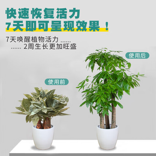 Soil Activator Loose soil, activate soil, prevent hardening, repair soil, promote plant root growth. Paiyifa 2 Soil Activator