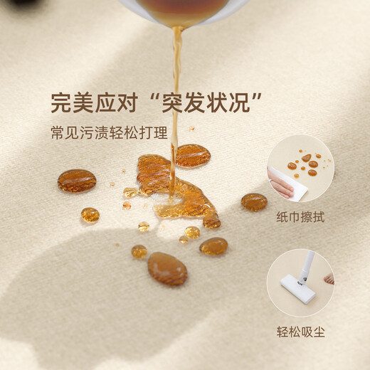 Fantasy carpet living room new cream style no-wash wipeable bedroom bedside blanket light luxury high-end sofa floor mat Nuannzhi 26955 140cmx200cm high-end versatile appearance online