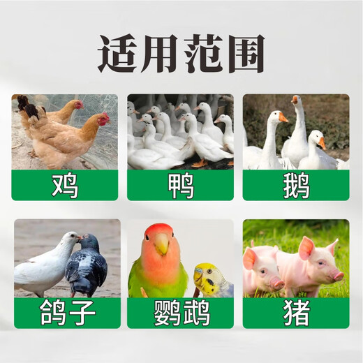 Yimotang Anti-pecking Guard Feed Additive for pecking feathers, pecking hair, pecking anus, eating eggs, supplementing nutrition, bright feathers 200g/bag Anti-pecking Guard - Take 5 and get 1 bag