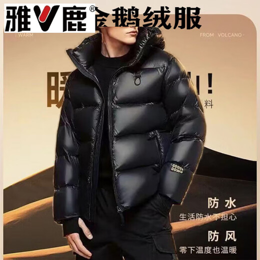 Yalu Black Gold Five-Check Goose Down Jacket Men's Winter Short Jacket Large Size High-end Fashion Brand Jacket S (80-100Jin Jin is equal to 0.5kg)