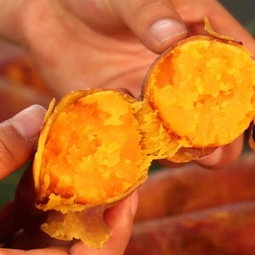 Freshly dug sandy sweet potato, fresh farm sweet potato, baked sweet potato, soft and waxy wholesale yellow heart, sandy sweet potato 4Jin Jin equal to 0.5kg, medium large fruit, box included